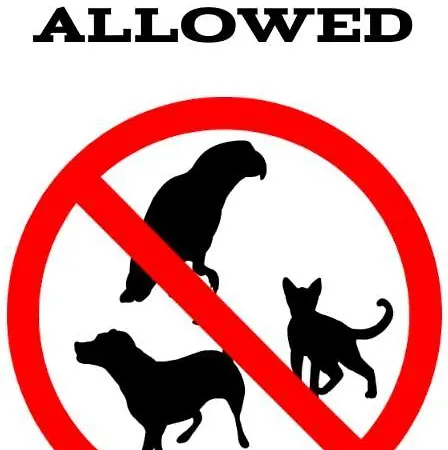 - Rubin I Świnoujście