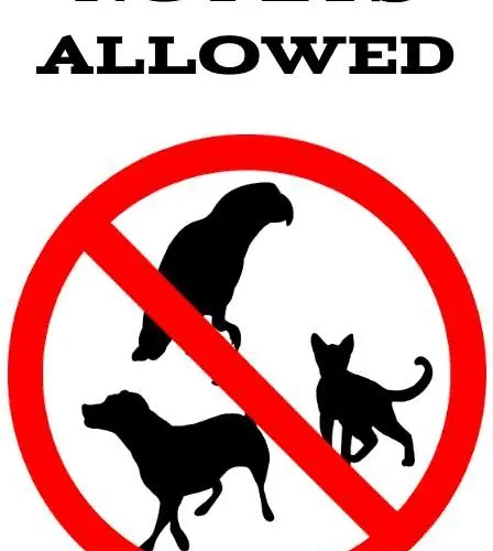 - Rubin I 斯维诺乌伊希切